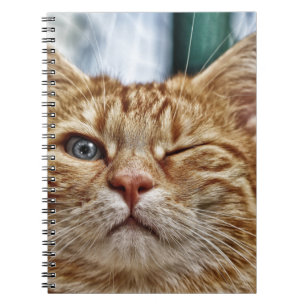 Carnet de photos (80 pages B&W)