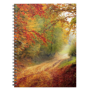 Carnet de photos (80 pages B&W)
