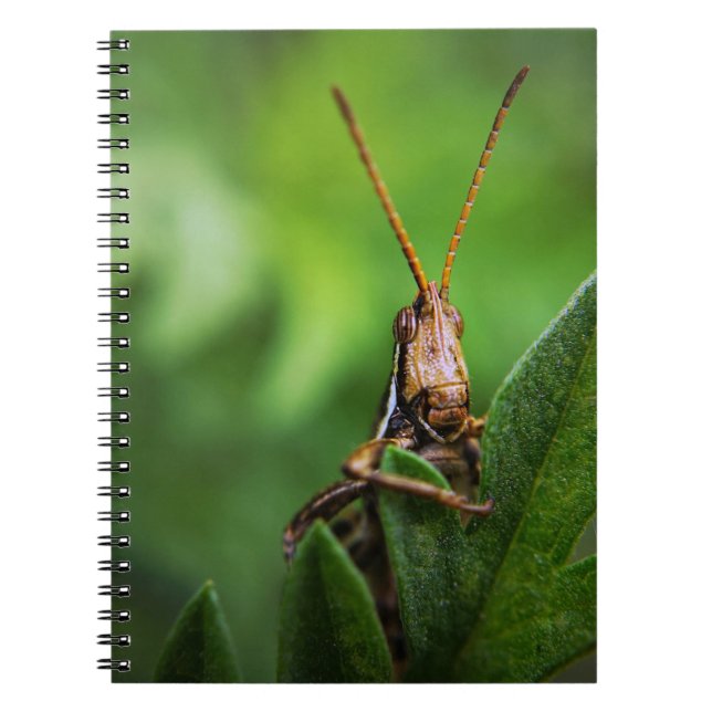 Carnet de photos (80 pages B&W) (Devant)