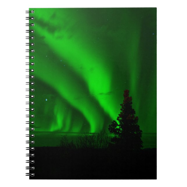 Carnet de photos (80 pages B&W) (Devant)