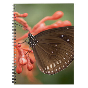 Carnet de photos (80 pages B&W)