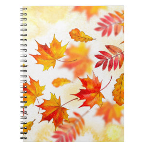 Carnet de photos (80 pages B&W)