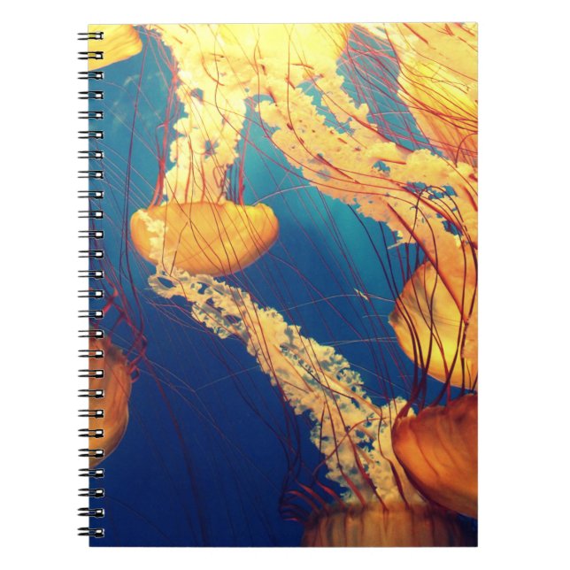 Carnet de photos (80 pages B&W) (Devant)