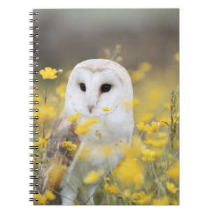 Carnet de photos (80 pages B&W)