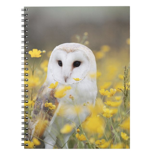Carnet de photos (80 pages B&W) (Devant)