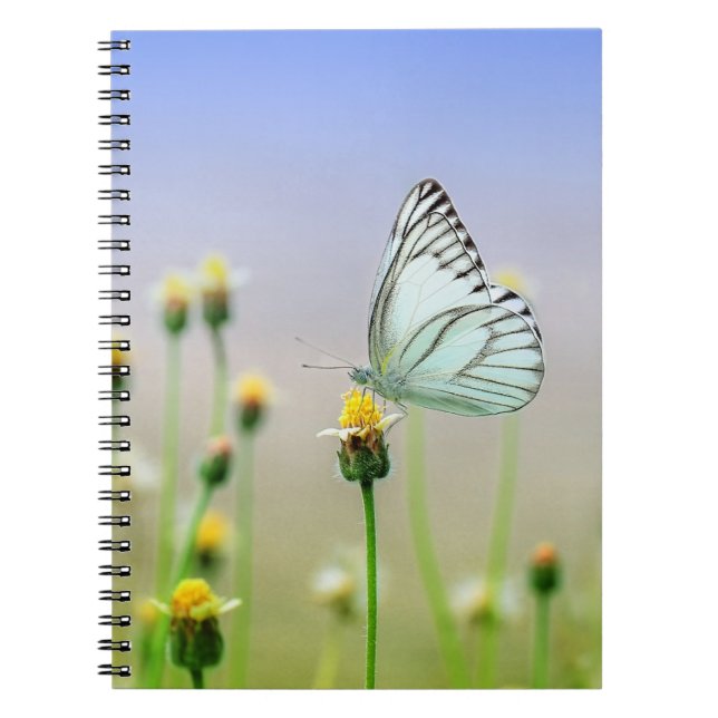 Carnet de photos (80 pages B&W) (Devant)