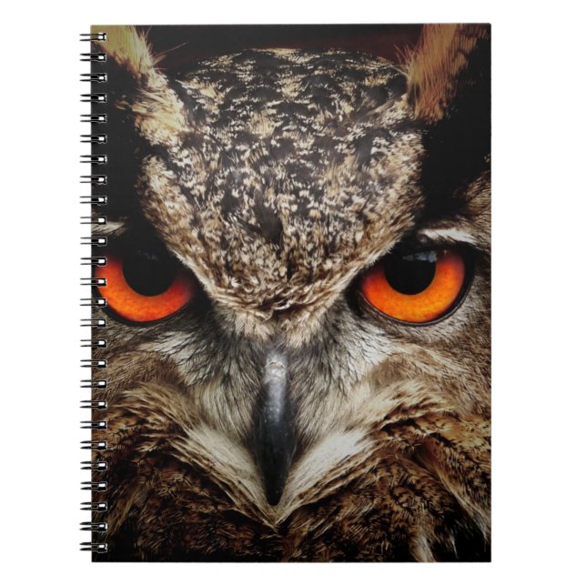 Carnet de photos (80 pages B&W) (Devant)
