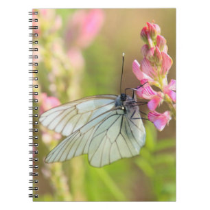 Carnet de photos (80 pages B&W)