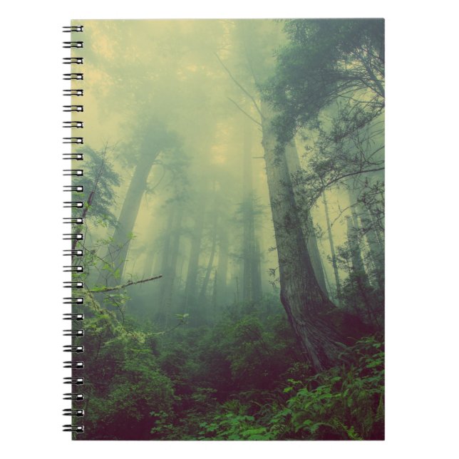 Carnet de photos (80 pages B&W) (Devant)