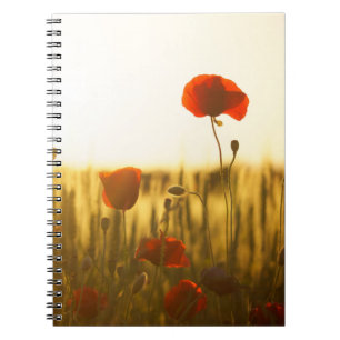 Carnet de photos (80 pages B&W)