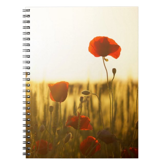 Carnet de photos (80 pages B&W) (Devant)