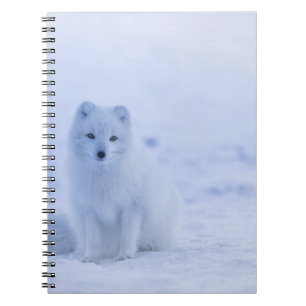 Carnet de photos (80 pages B&W)