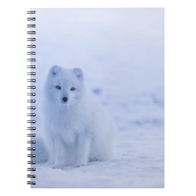 Carnet de photos (80 pages B&W) (Devant)