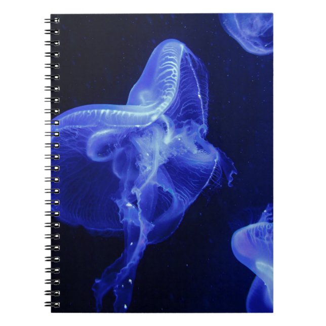 Carnet de photos (80 pages B&W) (Devant)