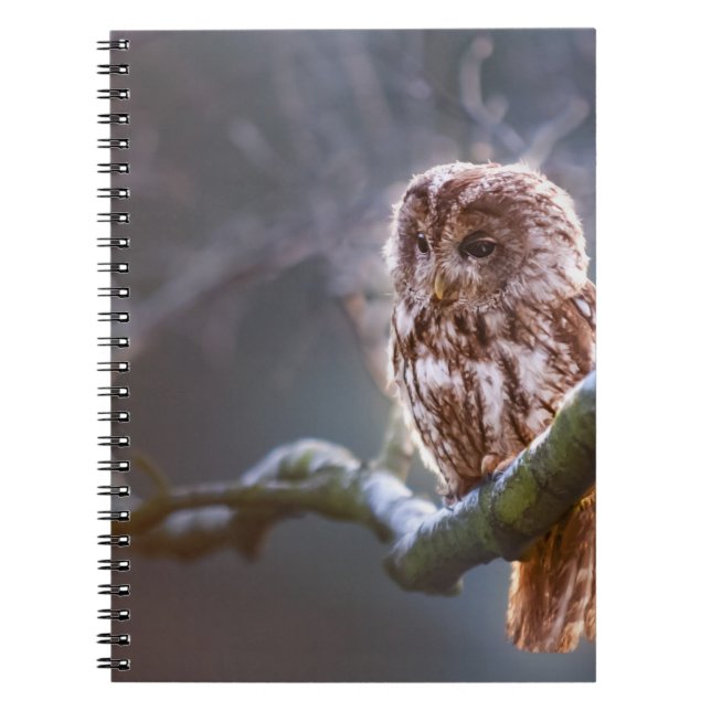 Carnet de photos (80 pages B&W) (Devant)
