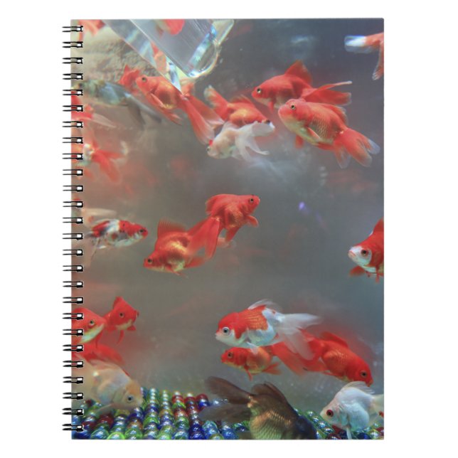 Carnet de photos (80 pages B&W) (Devant)