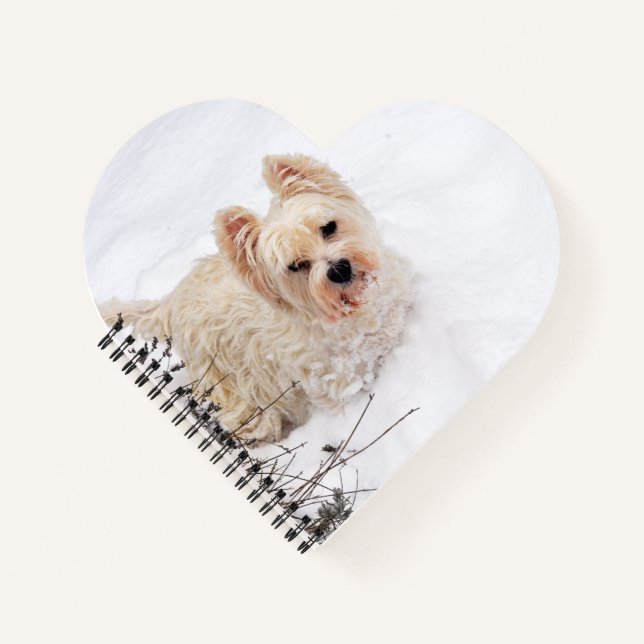 Carnet de photos de chien Westie blanc comme neige (Devant)
