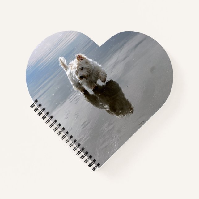 Carnet de photos de réflexion Beach Westie (Devant)