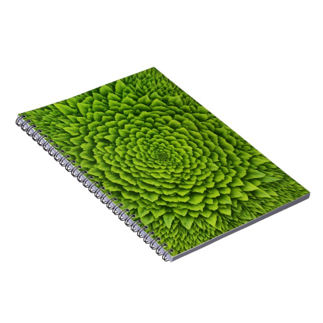 Carnet de photos en spirale (Côté Droit)