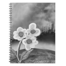 Carnet de photos en spirale