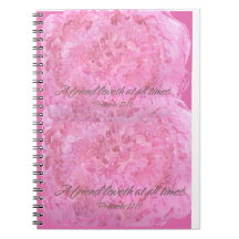 Carnet de photos en spirale,