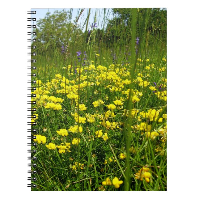 Carnet de photos en spirale de lotier corniculé (Devant)