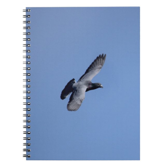 Carnet de pigeon d'emballage en vol (Devant)