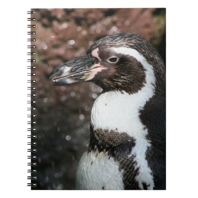 Carnet de pingouin (Devant)