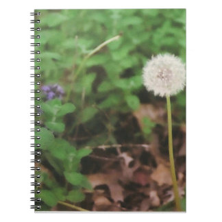 Carnet de pissenlit "faites souhait"
