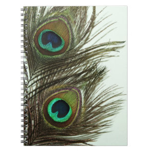 Carnet de plume de paon