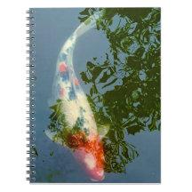 carnet de poisson