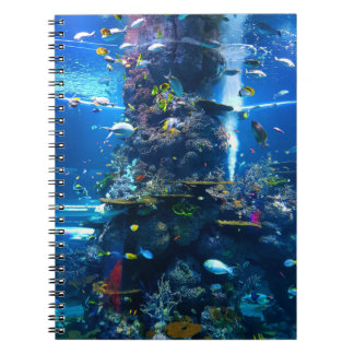 Carnet de poissons sous-marins océaniques