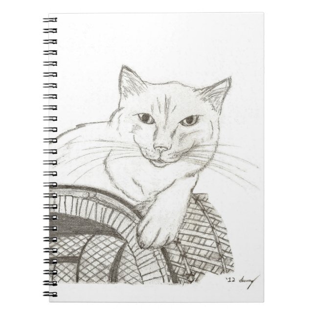 Carnet de portrait de Cat Ragdoll (Devant)