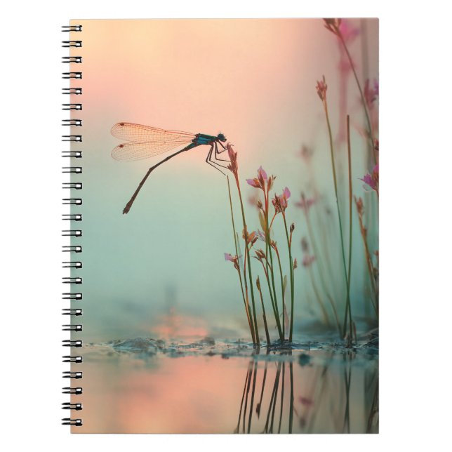 Carnet de réflexion Pastel Dragonfly (Devant)