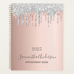 carnet de rendez-vous rose or argent parties scint
