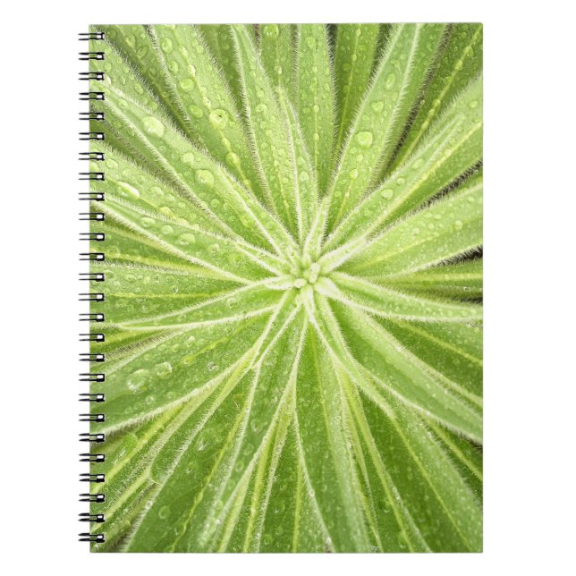 Carnet de scintillement de baisses (Devant)