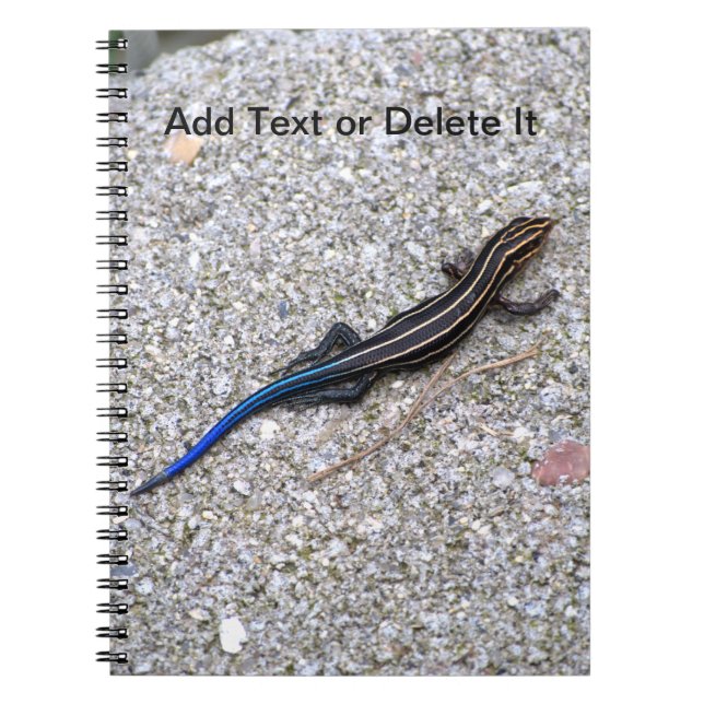 Carnet de Skink coupé la queue par bleu (Devant)