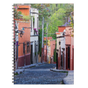 Carnet De Sollano Street, San Miguel De Allende
