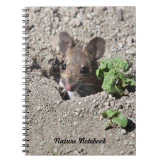 Carnet de souris