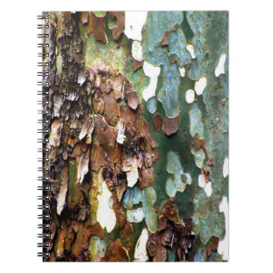 Carnet de texture d'écorce d'arbre