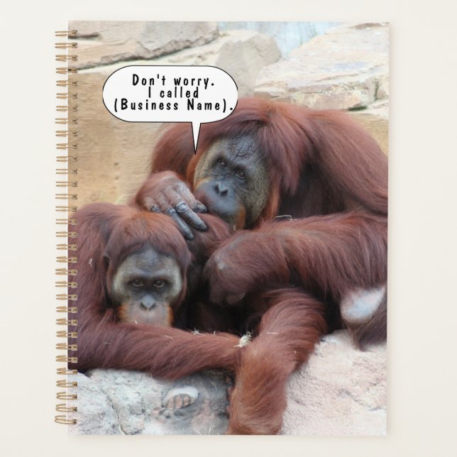 Carnet de tortues personnalisables (Devant)