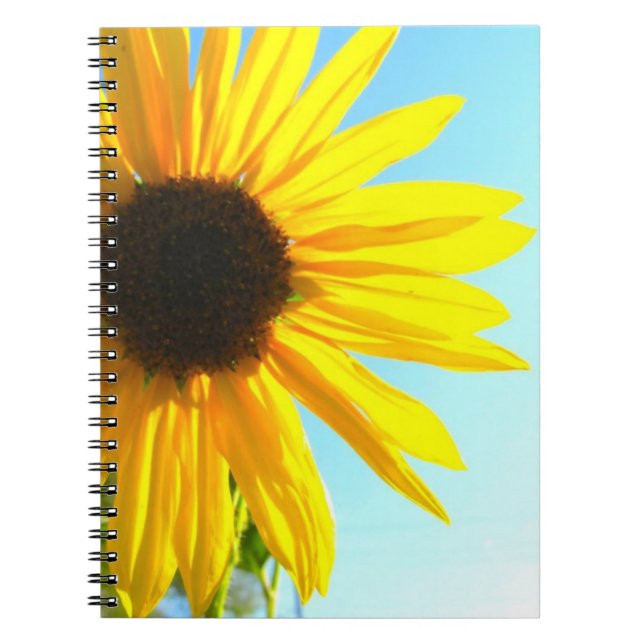 Carnet de tournesol (Devant)
