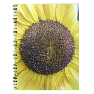 Carnet de tournesol jaune