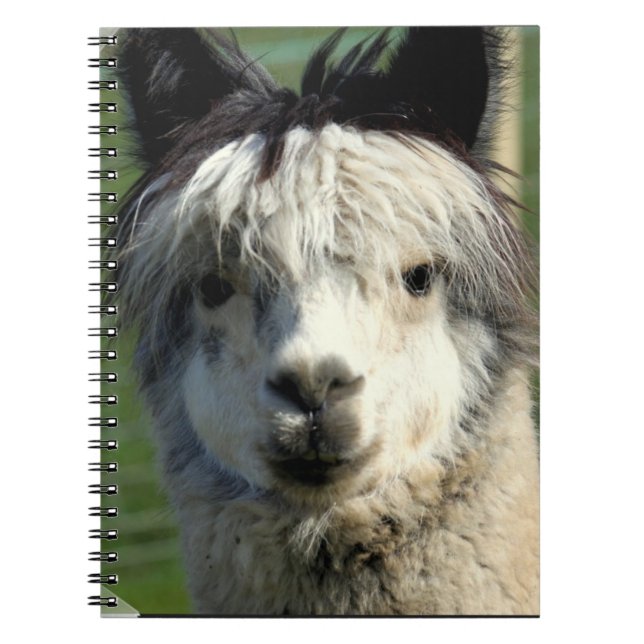 Carnet de visage de lama (Devant)