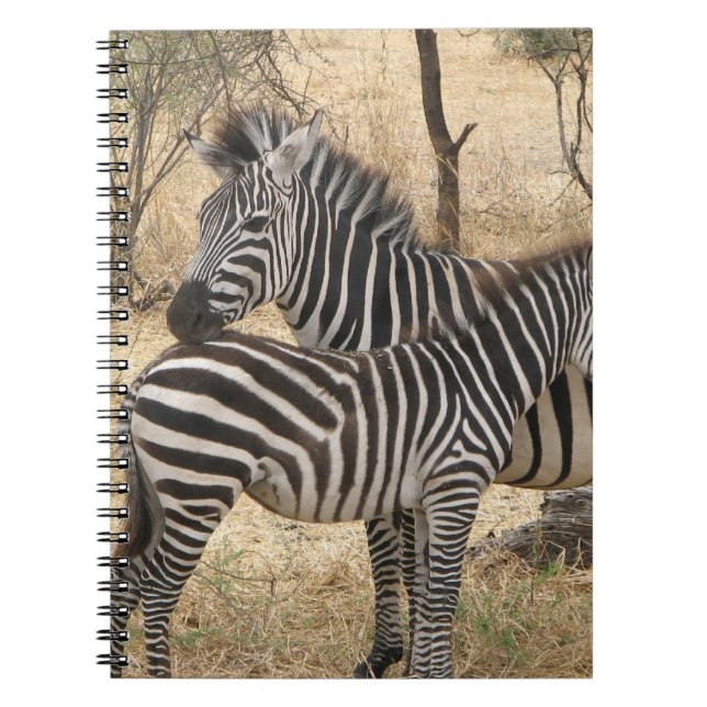 Carnet de zèbre de mère et de bébé (Devant)