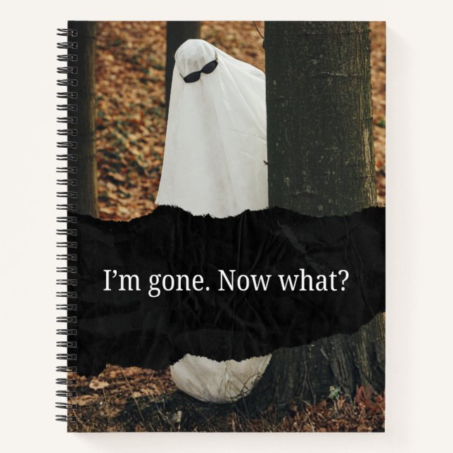 Carnet Death Planner/ I'm gone  now what? (Devant)