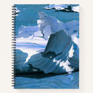 Carnet Décay urbaine - Étude de Peinture de Peeling