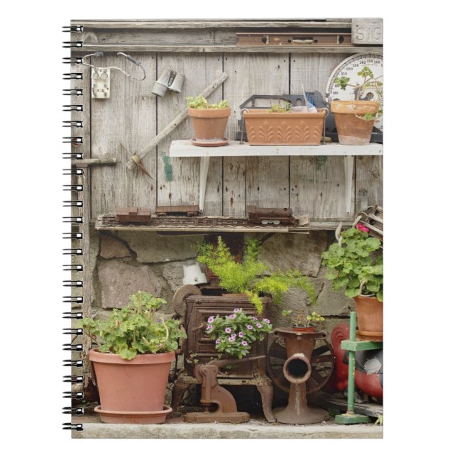 Carnet Décorations sur une clôture en bois, île de Catali (Devant)