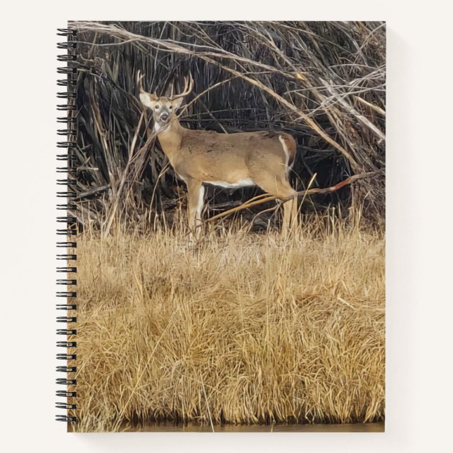 Carnet Deer in the Thicket Spiral Notebook (Devant)