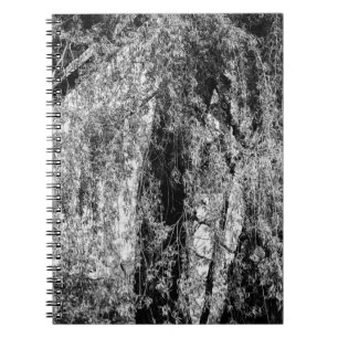 Carnet demeure